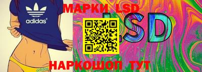 эйфоретик Донской