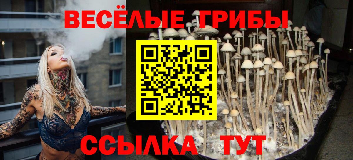 Псилоцибиновые грибы MAGIC MUSHROOMS Минусинск